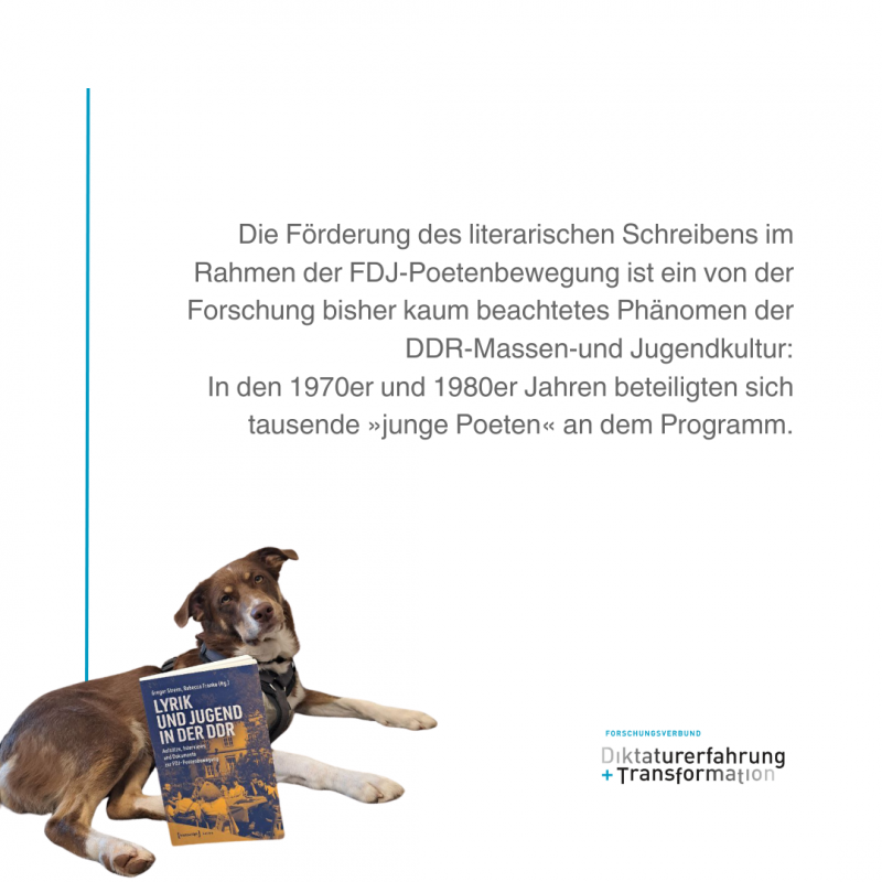 Informationen zum Sammelband DuT 2